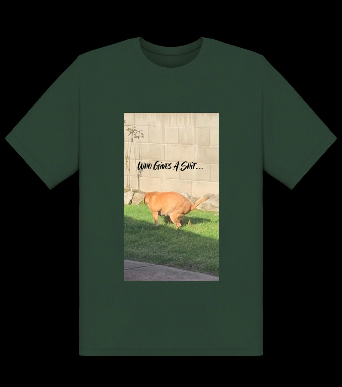 Who Gives A Shit Tee