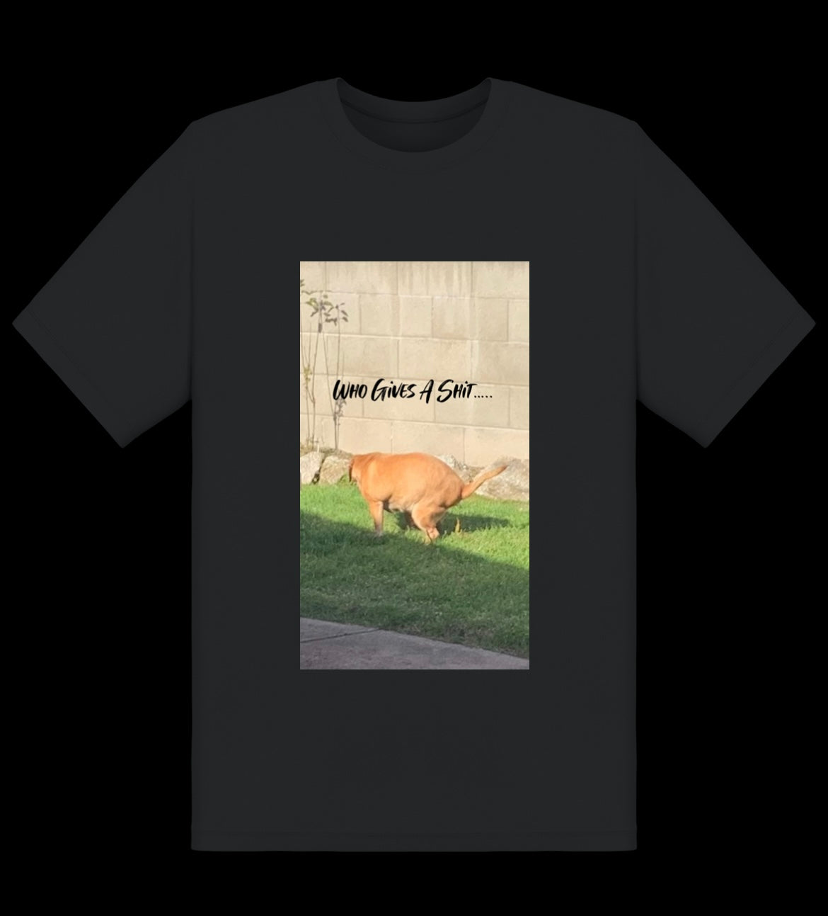 Who Gives A Shit Tee
