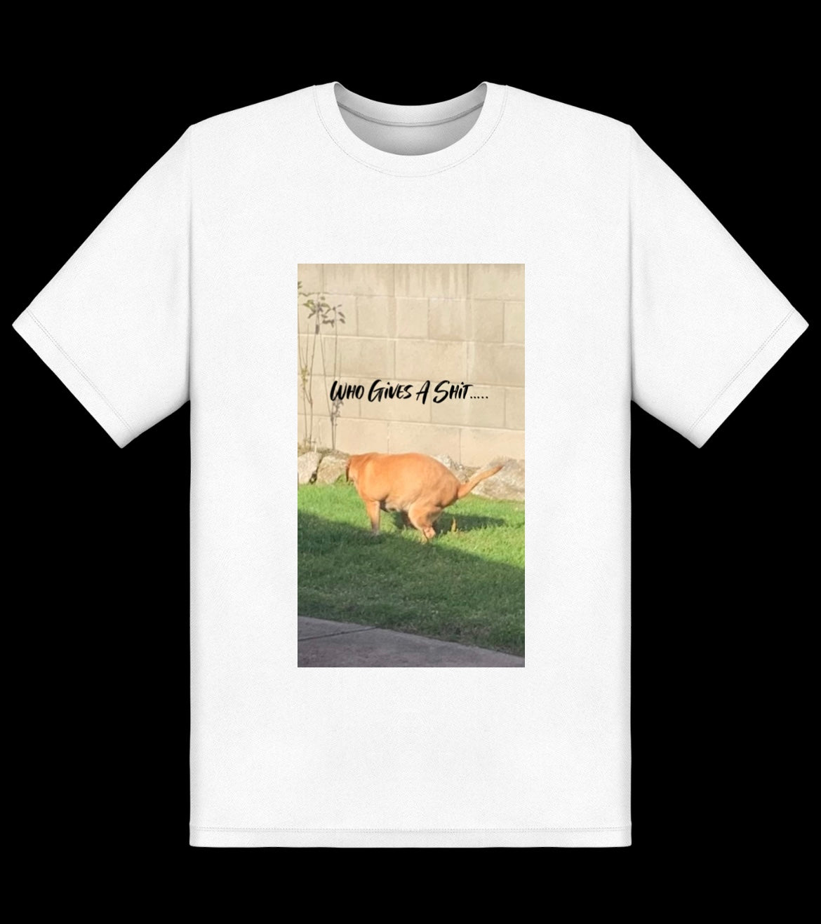 Who Gives A Shit Tee