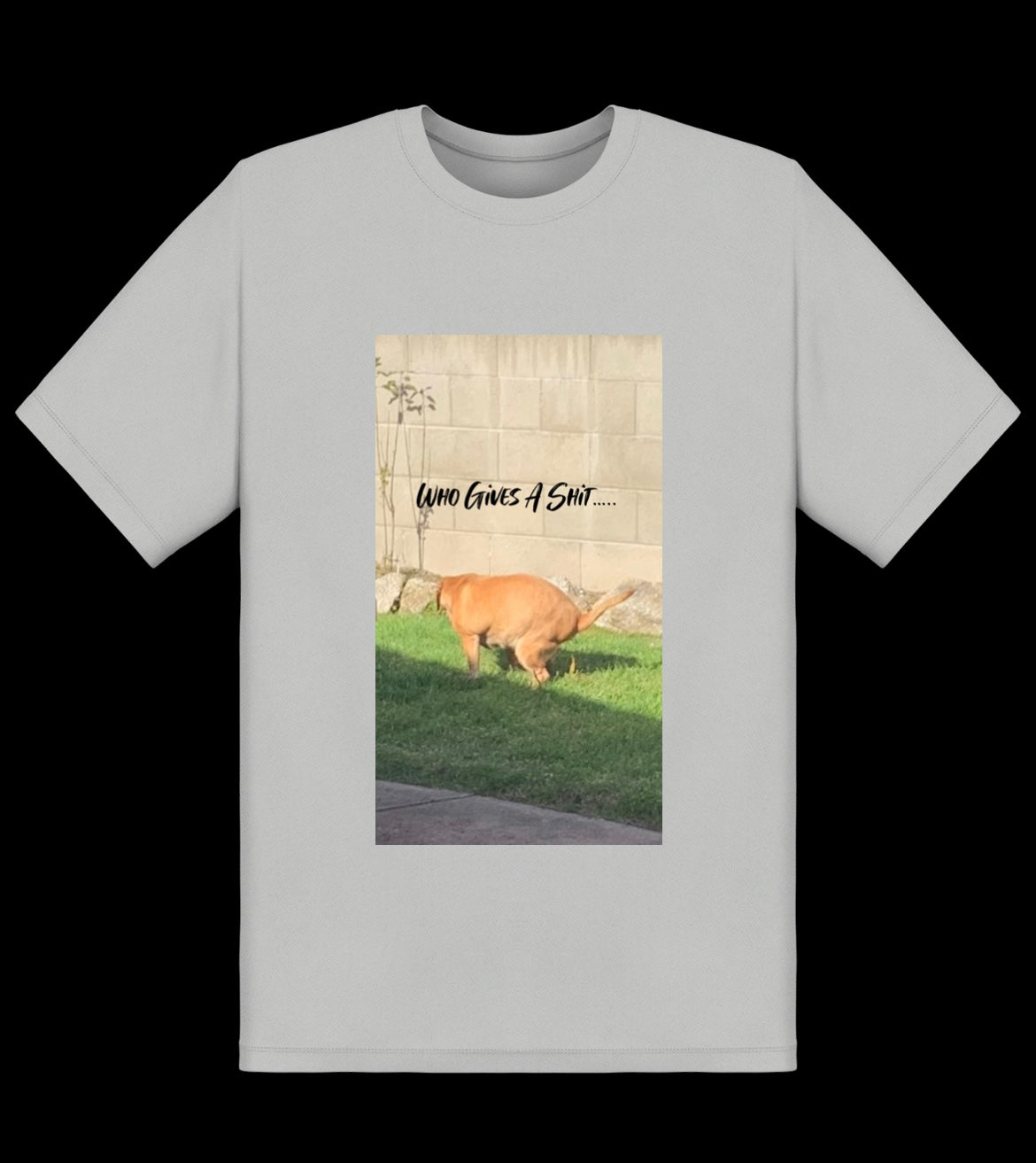 Who Gives A Shit Tee