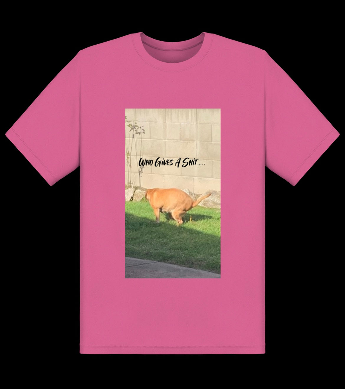 Who Gives A Shit Tee